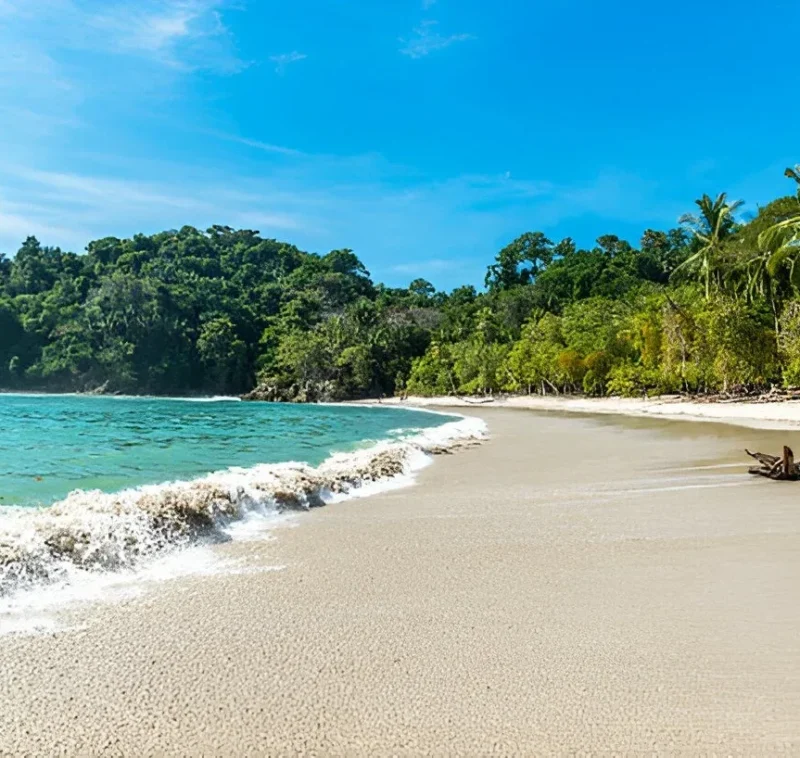 The Allure of Costa Rica