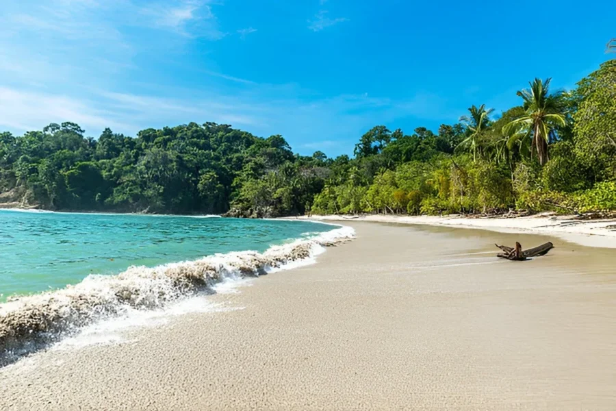 The Allure of Costa Rica