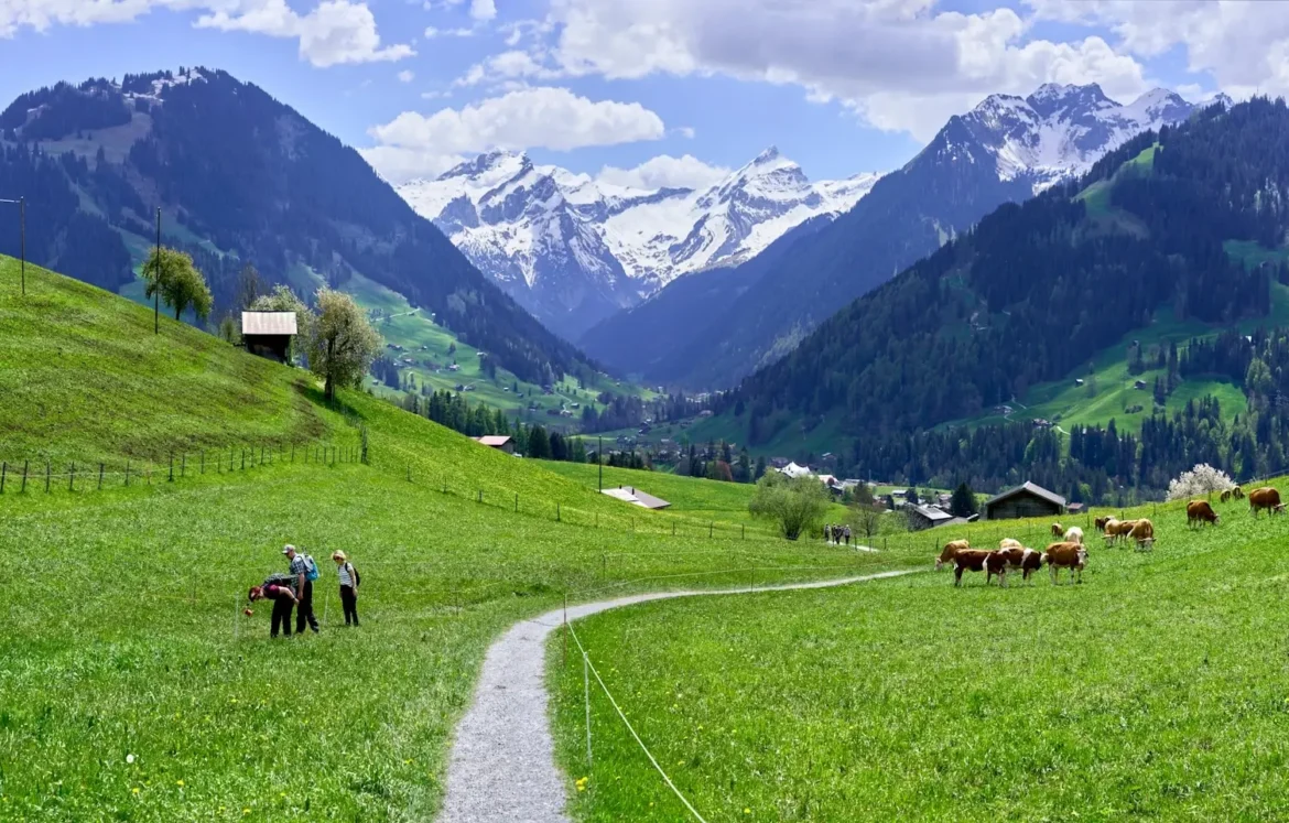 switzerland countryside