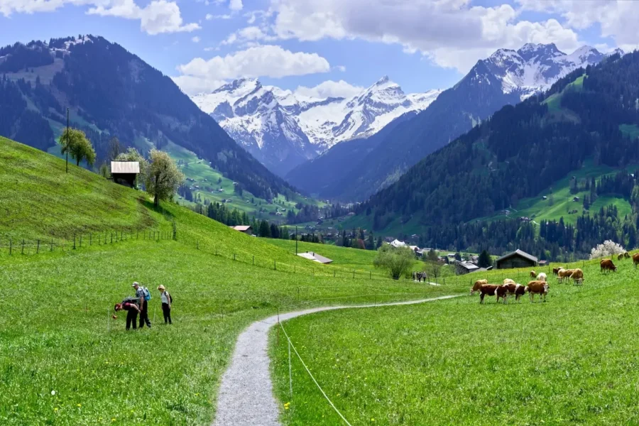 switzerland countryside